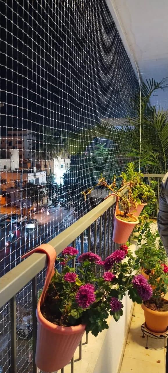 Window Pigeon Nets installation example