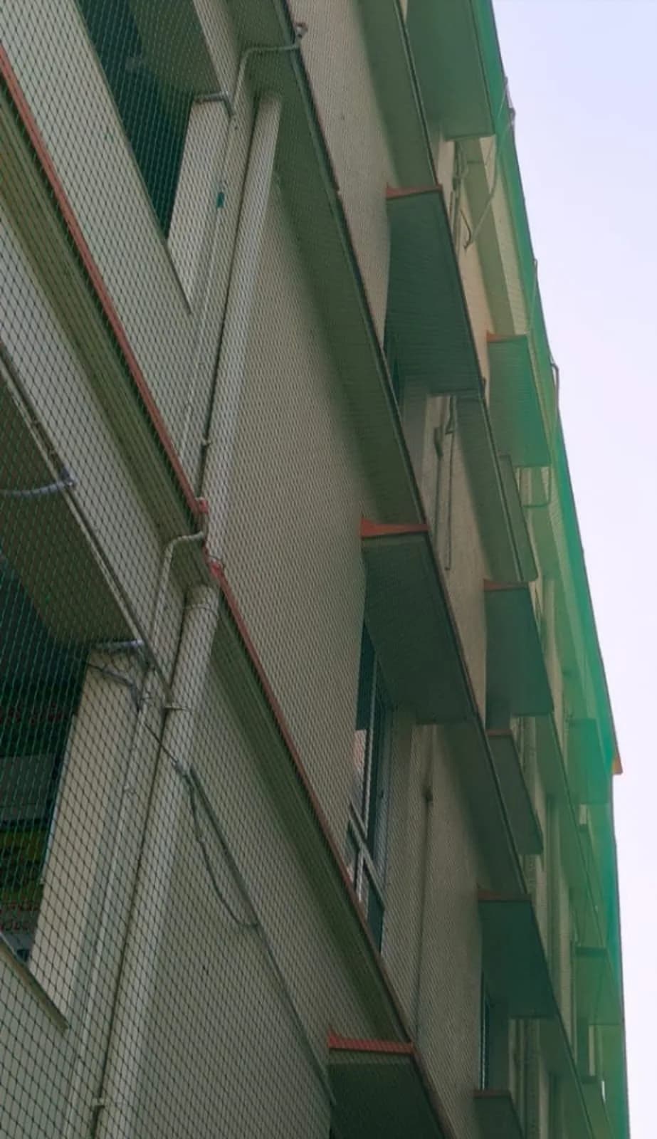 Cricket Practice Nets installation example