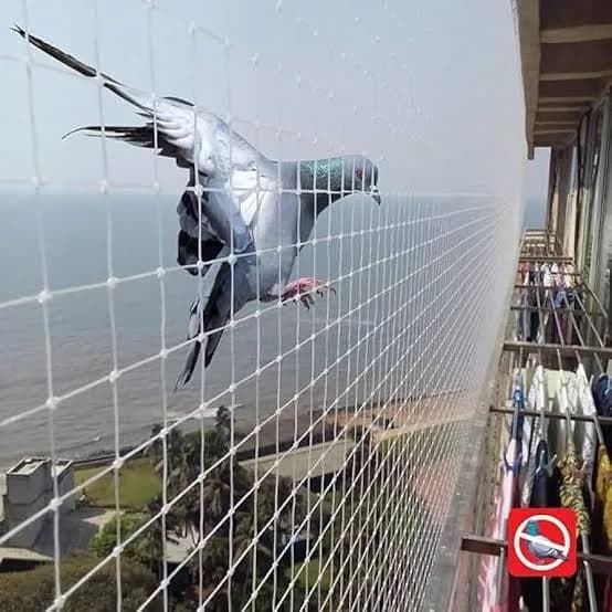Pet Safety Nets installation example